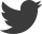 Twitter Twitter